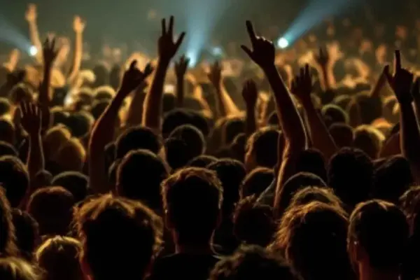 Sonorisation & Lumière